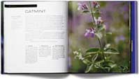 Carol Sharp - Herb Book